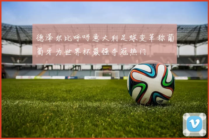 德泽尔比呼吁意大利足球变革称葡萄牙为世界杯最强夺冠热门